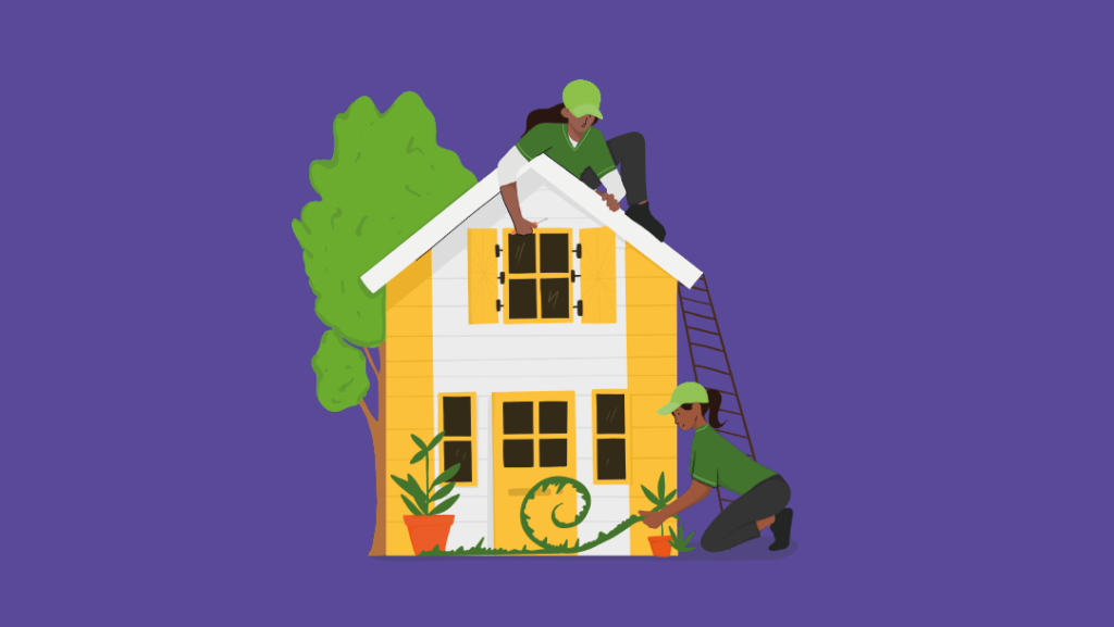Summer Garden Tips – 5 cost effective ways to make your garden shine